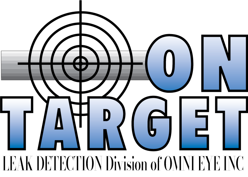 On Target Leak Detection Division of Omni Eye Inc